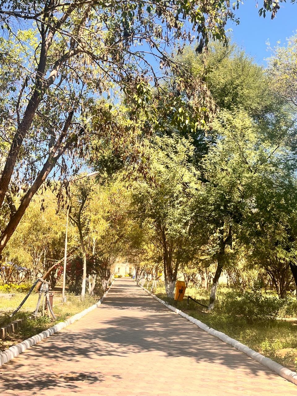 UEM Jaipur Campus photo (2) by Shreyasee Majumdar